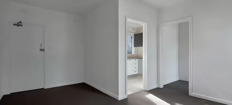 Dark Interior Doors in Palm Harbor, FL
