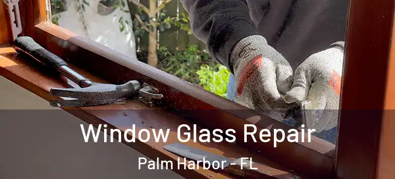  Window Glass Repair Palm Harbor - FL