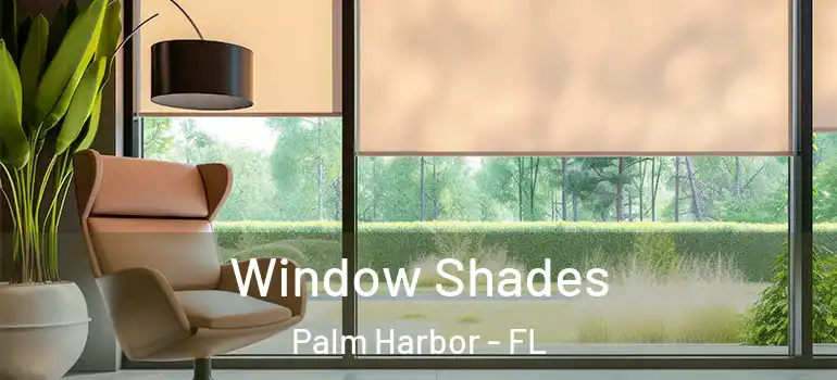  Window Shades Palm Harbor - FL